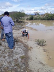 jales5
