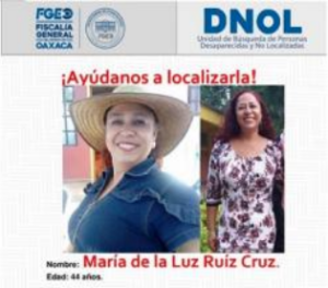 maestra 22