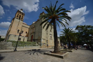 OAXACA CAPITAL (4)
