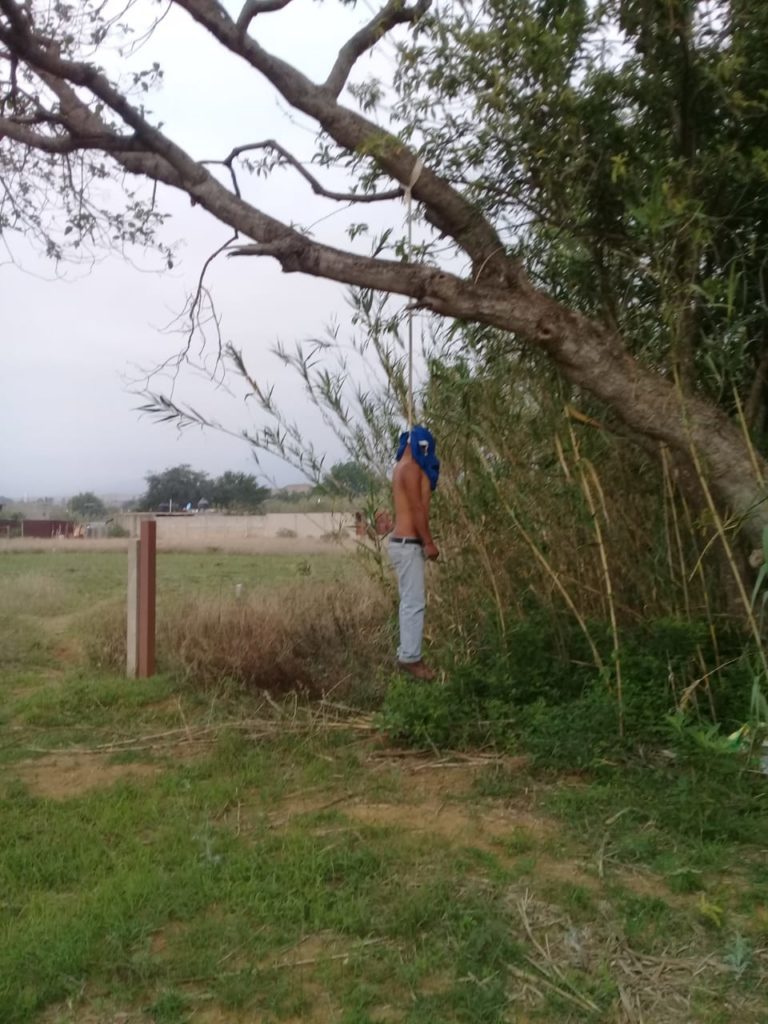 industria no usado Una oración Localizan cuerpo de un hombre colgado de un árbol en San Pedro Ixtlahuaca  (08:08 h) ‹ ADN – Agencia Digital de Noticias Sureste